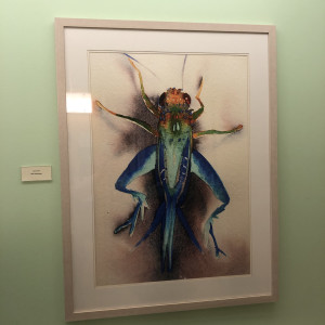 Blue Grasshopper by Carol Carter 