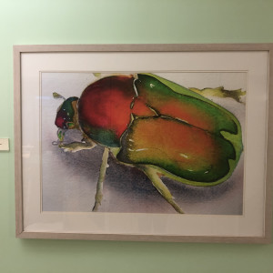Multi-Colored Beetle by Carol Carter 