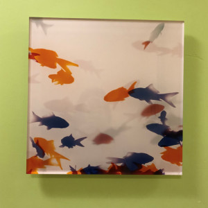 Goldfish I & 2 by Ethan Jantzer 