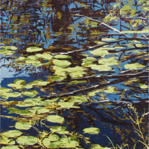 Woodland Meditation by Jean Gumpper, Image 1.