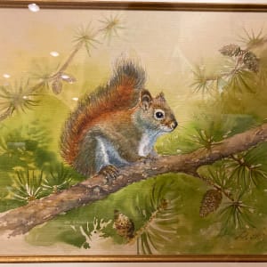 Squirrel (Sciuridae) by Demetrij Achkasov