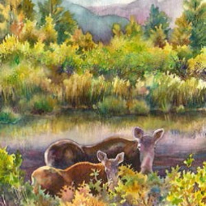 Moose Magic by Annie Gifford