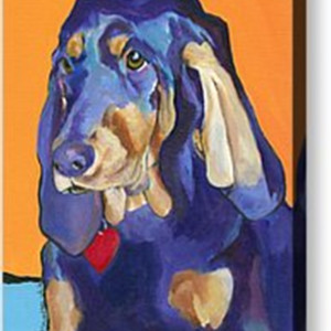 Augie by Pat  Saunders-White