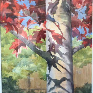 Maple Tree by Kathleen Lanzoni 