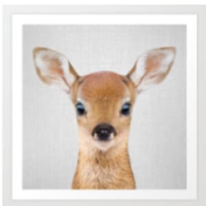 Deer - Baby Animals by Gal Design