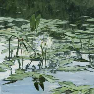 Water Lilies by Gregory Block