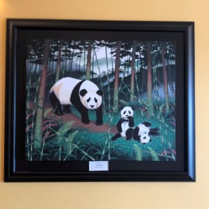 Cloudforest Pandas by Jock Bartley 
