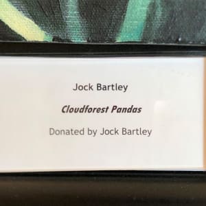 Cloudforest Pandas by Jock Bartley 