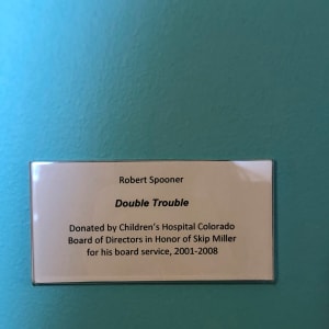 Double Trouble by Robert Spooner 