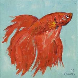 Siamese Fighting Fish by Michael Creese