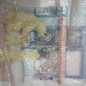 First Haircut by Barbara Stone