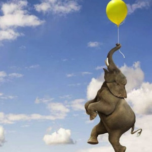 Elephant Grasping the Balloon String by Stephanie Roeser