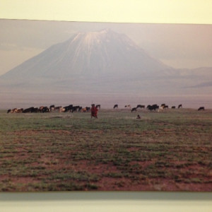 Masai Herdsmen by Ron Williams 