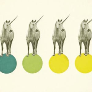 Unicorn Parade by Cassia Beck