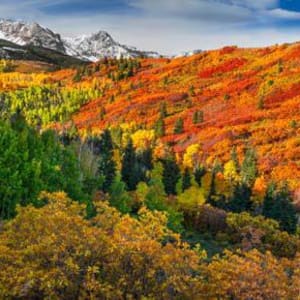 Of Land and Sky by Tim Reaves