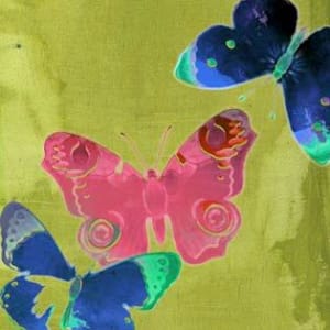 Saturated Butterflies IV by Sisa Jasper