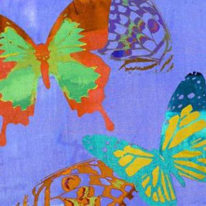 Saturated Butterflies I by Sisa Jasper