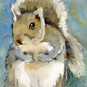 Tilly the Squirrel by Miriam Schulman