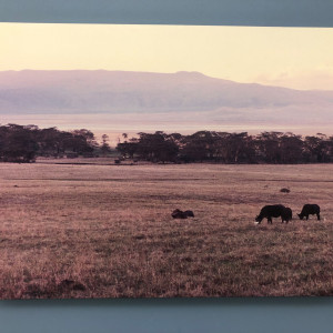 Ngorongoro Crater by Ron Williams 