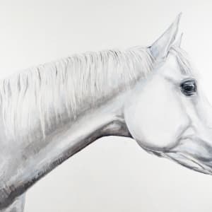 MYSTIC by Suzie Burgess