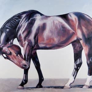 ILLUMINATION by Suzie Burgess