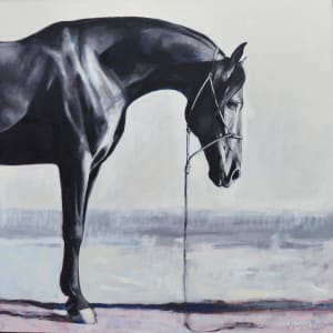 STILL by Suzie Burgess