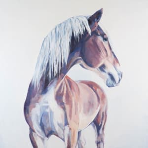 CAPTAIN by Suzie Burgess