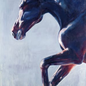 EXPANSE by Suzie Burgess