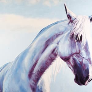 WONDER by Suzie Burgess