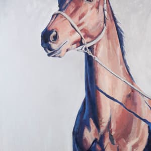 ALLY by Suzie Burgess