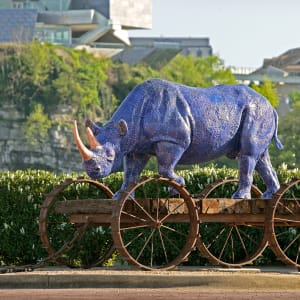 Rhino Pull Toy/Blue Boy Pull Toy #1 by John Petrey 