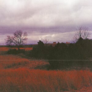 Greene County, TN by Andrew Rogers