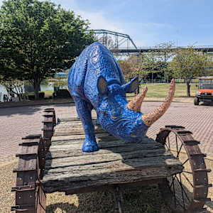 Rhino Pull Toy/Blue Boy Pull Toy #1 by John Petrey 