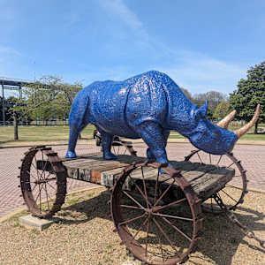 Rhino Pull Toy/Blue Boy Pull Toy #1 by John Petrey