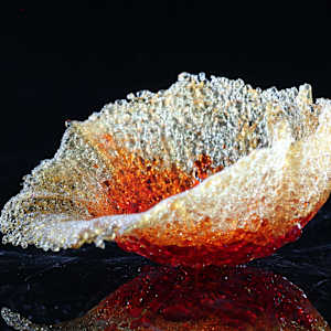 Fragilis 7 by Linda van Huffelen