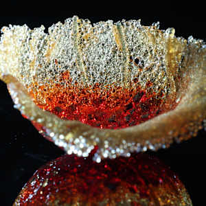 Fragilis 7 by Linda van Huffelen  Image: Fragilis 7