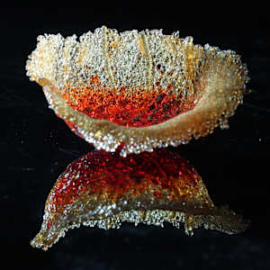 Fragilis 7 by Linda van Huffelen  Image: Fragilis 7