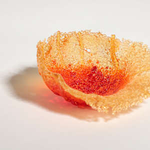 Fragilis 7 by Linda van Huffelen 
