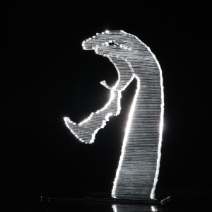 Z.T. by Linda van Huffelen, Image 1.