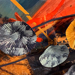 I SAW THE LIGHT by Marlynn Rutenberg 