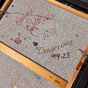 DANGEROUS by Marlynn Rutenberg 