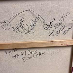 IT ALL CAME DOWN ON ME by Marlynn Rutenberg 