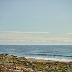 OCEAN BEACH by Tom Yglesias