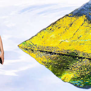 WITH THE WORDS by Tom Richard 