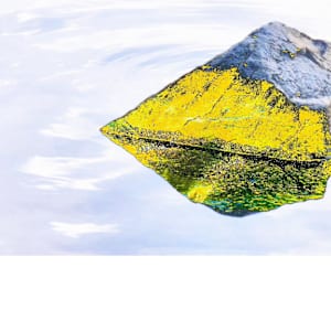 WITH THE WORDS by Tom Richard  Image: Video displayed on LED wall