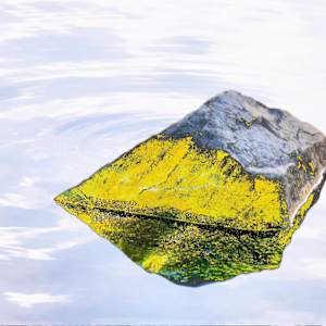 WITH THE WORDS by Tom Richard