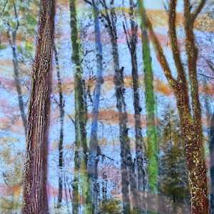 Bring Only Silence by Linda Robertson, Image 1.