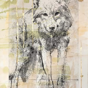 Delight by Amanda Wilner 