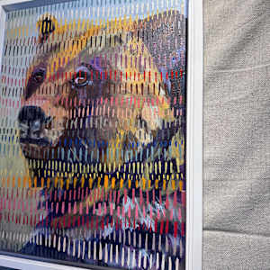 Bear Portrait by Amanda Wilner, Image 2.