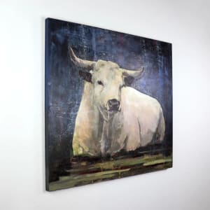 Bull by Amanda Wilner 